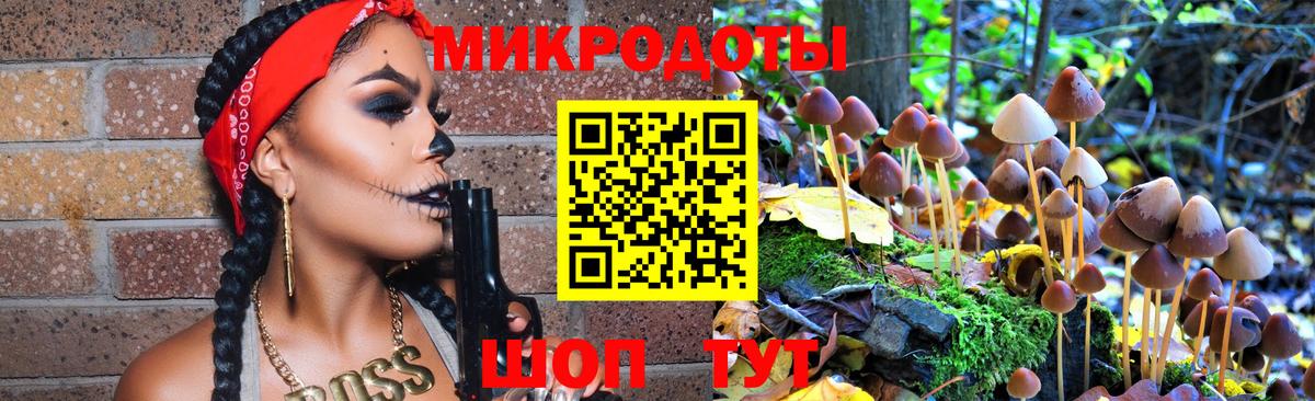 Галлюциногенные грибы ЛСД Усть-Джегута