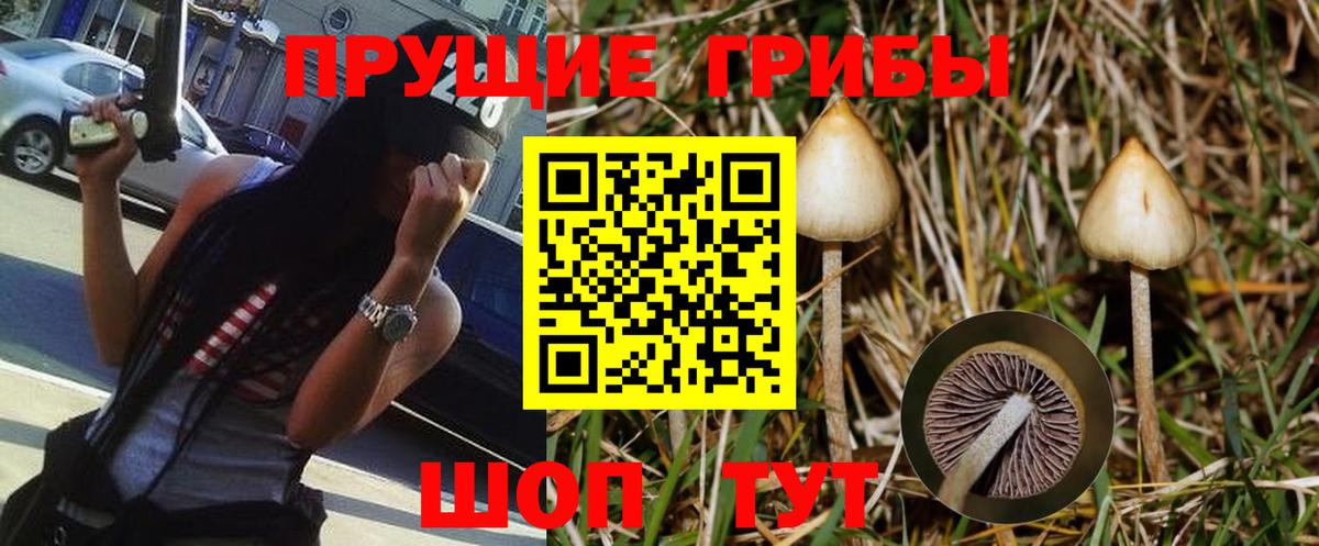 Псилоцибиновые грибы Psilocybine cubensis  Вход с VPN  Усть-Джегута 